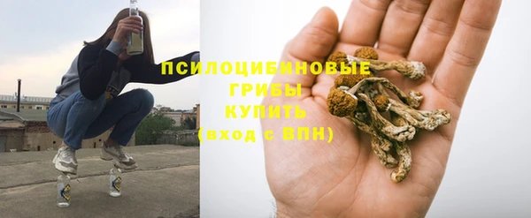 экстази Алексин