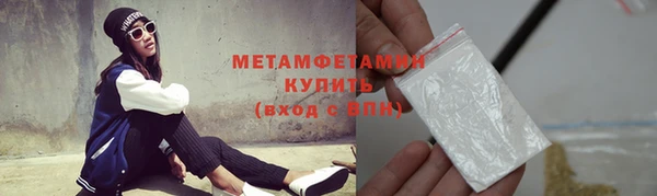 ГАЛЛЮЦИНОГЕННЫЕ ГРИБЫ Галич