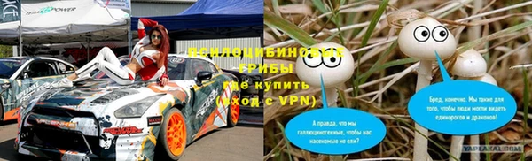МДПВ Алексеевка