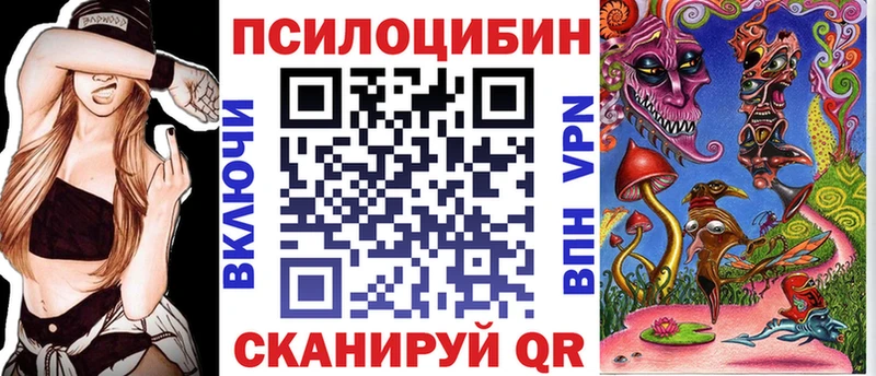 Псилоцибиновые грибы Cubensis Удомля