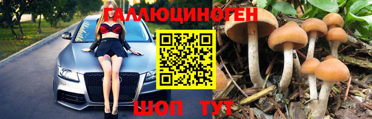 Псилоцибиновые грибы мицелий  Вход с VPN  закладки  Удомля 